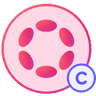 LCDOT