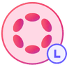 LDOT